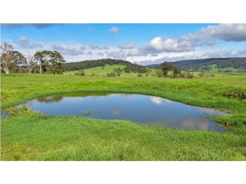 747 Upper Yarrowitch River Road, Yarrowitch NSW 2354