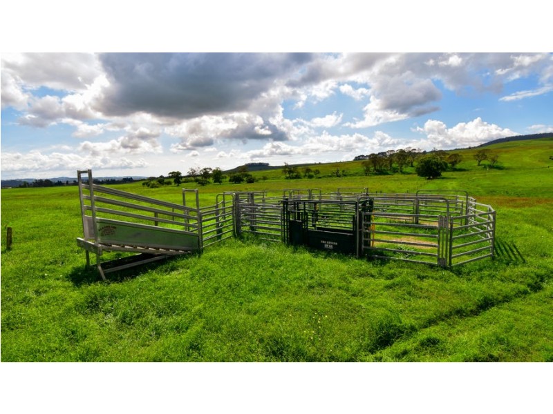 747 Upper Yarrowitch River Road, Yarrowitch NSW 2354