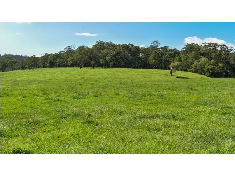 747 Upper Yarrowitch River Road, Yarrowitch NSW 2354