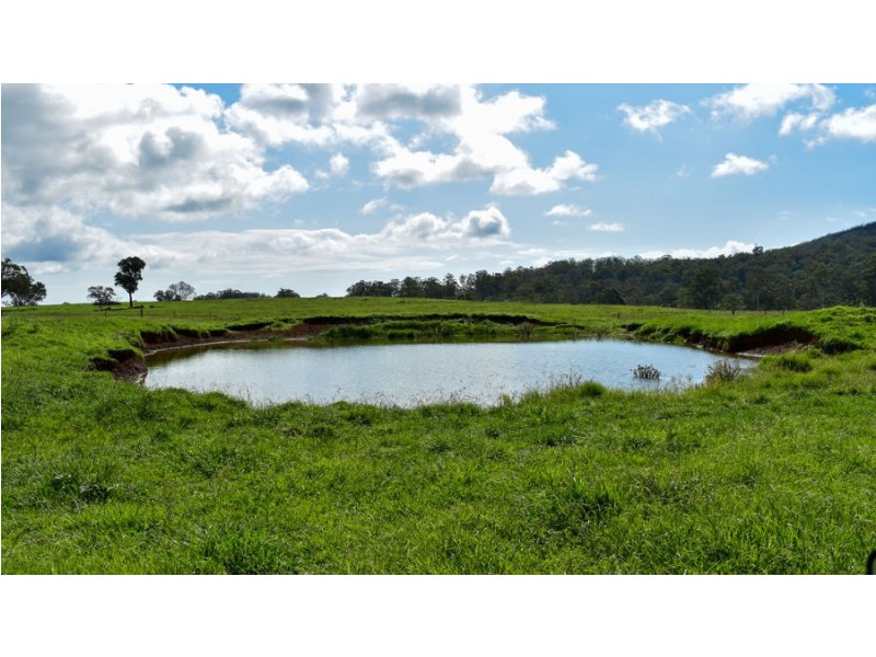 747 Upper Yarrowitch River Road, Yarrowitch NSW 2354