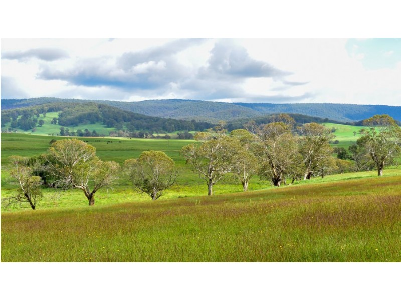 747 Upper Yarrowitch River Road, Yarrowitch NSW 2354