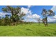 747 Upper Yarrowitch River Road, Yarrowitch NSW 2354