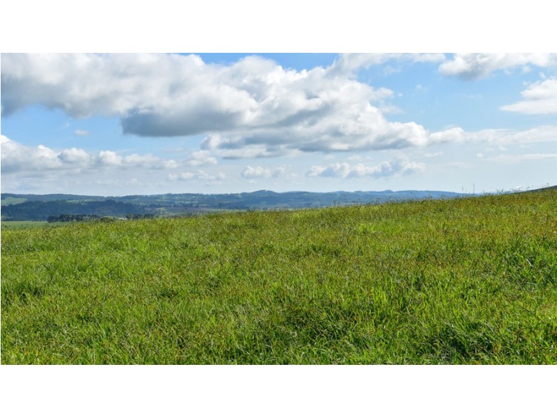 747 Upper Yarrowitch River Road, Yarrowitch NSW 2354