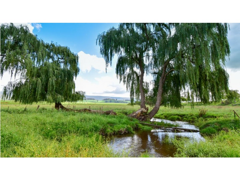 747 Upper Yarrowitch River Road, Yarrowitch NSW 2354