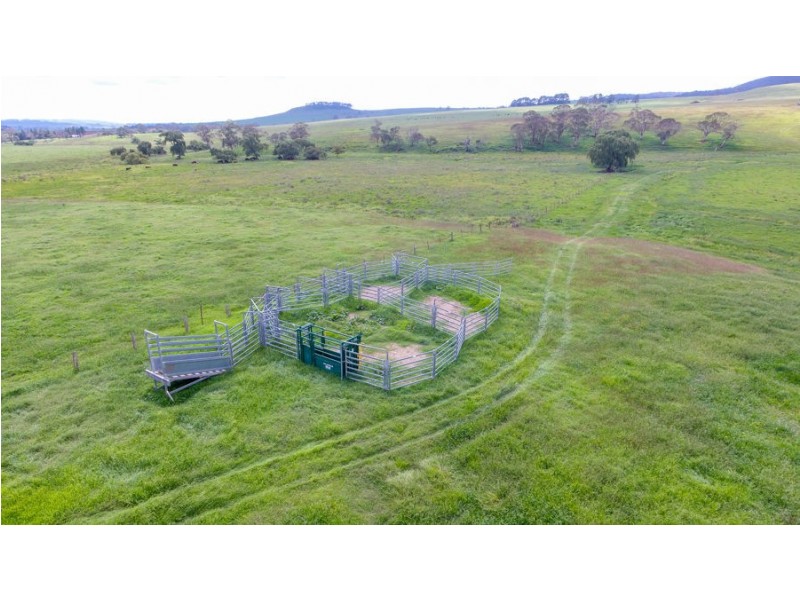 747 Upper Yarrowitch River Road, Yarrowitch NSW 2354