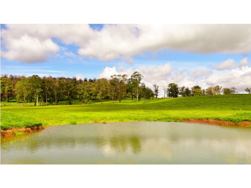 747 Upper Yarrowitch River Road, Yarrowitch NSW 2354