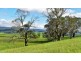 747 Upper Yarrowitch River Road, Yarrowitch NSW 2354