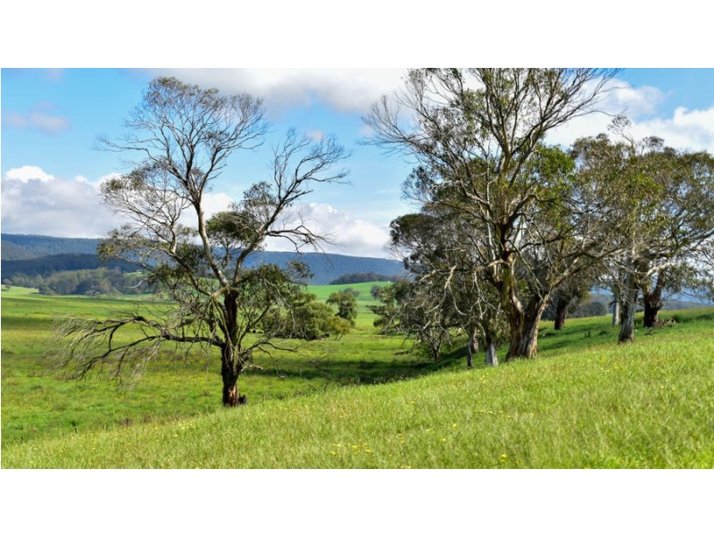 747 Upper Yarrowitch River Road, Yarrowitch NSW 2354