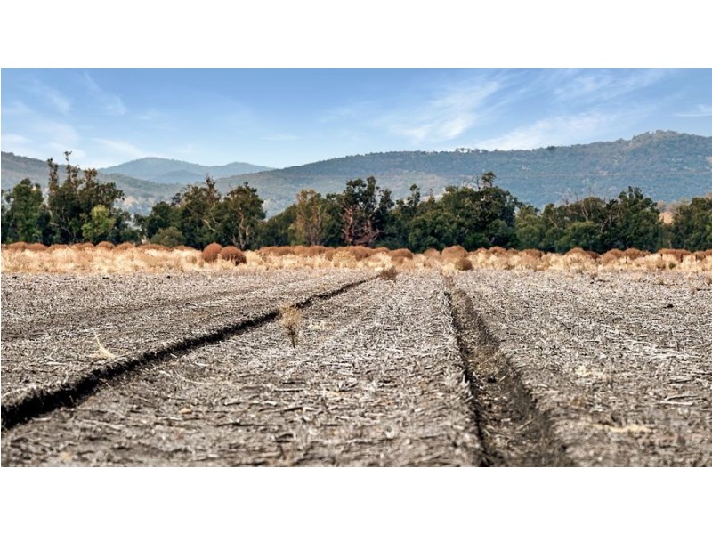 ‘BURWOOD’ 343 Rossmar Park rd, Caroona NSW 2343, Caroona NSW 2343