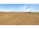 ‘BURWOOD’ 343 Rossmar Park rd, Caroona NSW 2343, Caroona NSW 2343