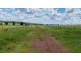 Doonavale Walhallow Road, Caroona NSW 2343
