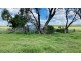 Doonavale Walhallow Road, Caroona NSW 2343