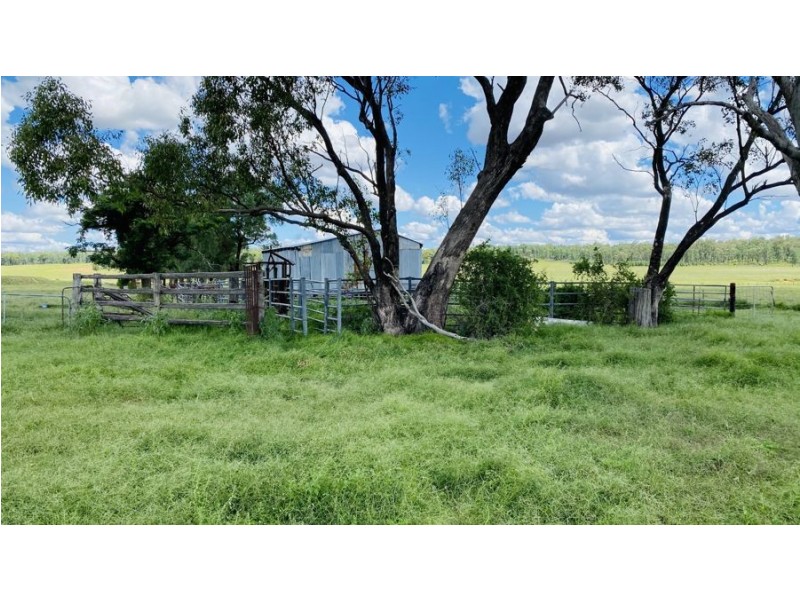 Doonavale Walhallow Road, Caroona NSW 2343