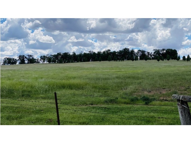 Doonavale Walhallow Road, Caroona NSW 2343