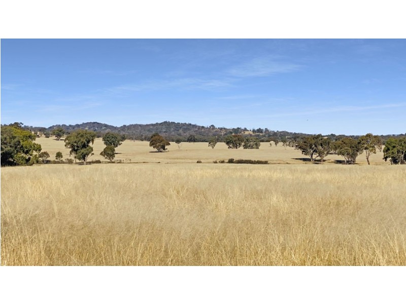 2826 Kingstown Road, Kingstown NSW 2358