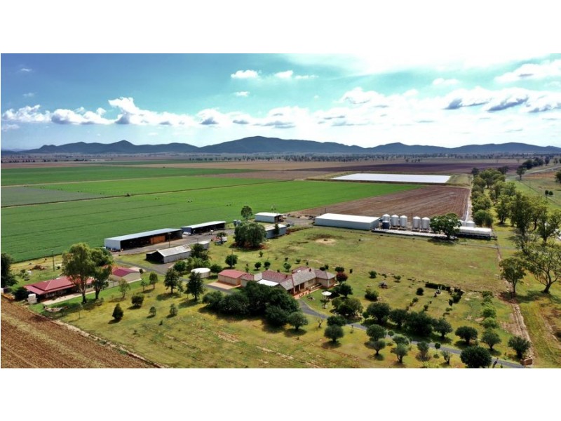“Bindaree Aggregation” 43 Orange Grove Rd, Gunnedah NSW 2380