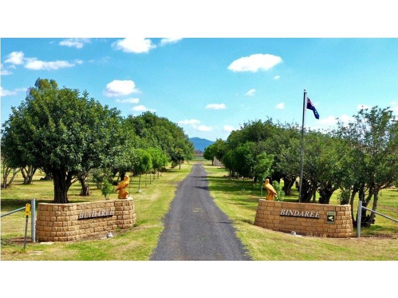 “Bindaree Aggregation” 43 Orange Grove Rd, Gunnedah NSW 2380