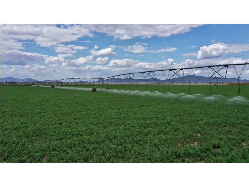 “Bindaree Aggregation” 43 Orange Grove Rd, Gunnedah NSW 2380