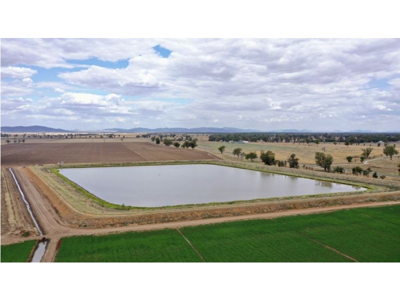 “Bindaree Aggregation” 43 Orange Grove Rd, Gunnedah NSW 2380