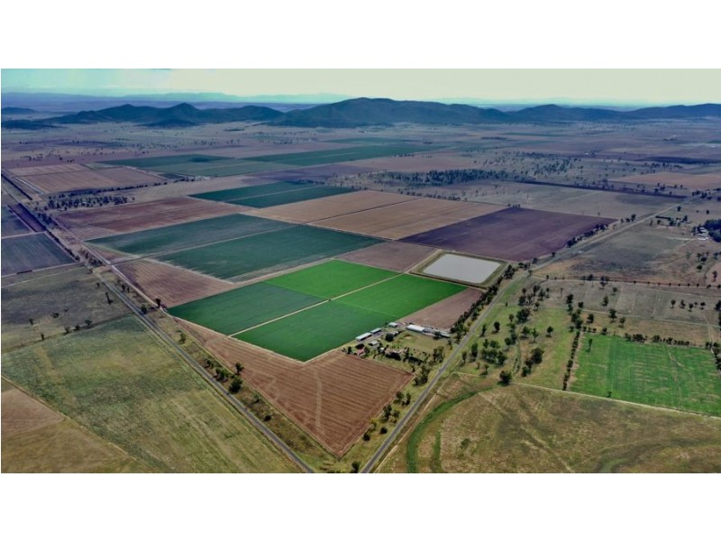 “Bindaree Aggregation” 43 Orange Grove Rd, Gunnedah NSW 2380