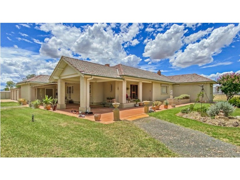 “Bindaree Aggregation” 43 Orange Grove Rd, Gunnedah NSW 2380