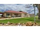 “Bindaree Aggregation” 43 Orange Grove Rd, Gunnedah NSW 2380