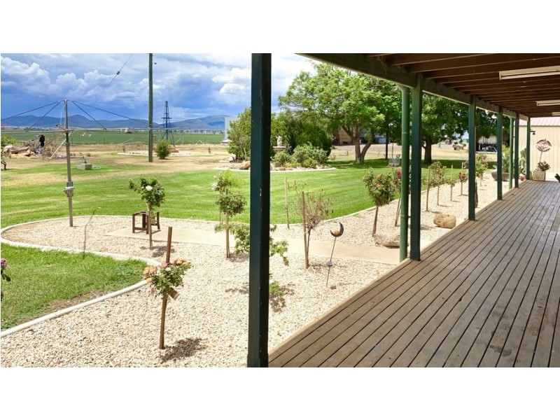 “Bindaree Aggregation” 43 Orange Grove Rd, Gunnedah NSW 2380