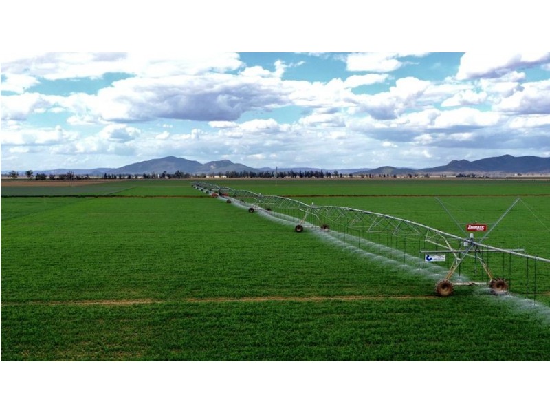 “Bindaree Aggregation” 43 Orange Grove Rd, Gunnedah NSW 2380