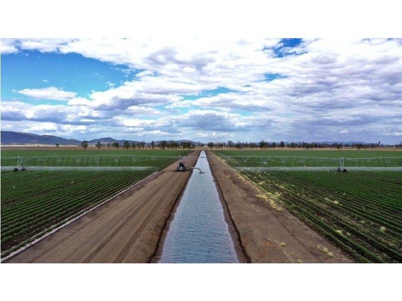 “Bindaree Aggregation” 43 Orange Grove Rd, Gunnedah NSW 2380