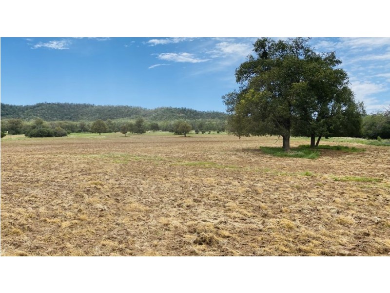 1211 Babbinboon Lane, Somerton NSW 2340