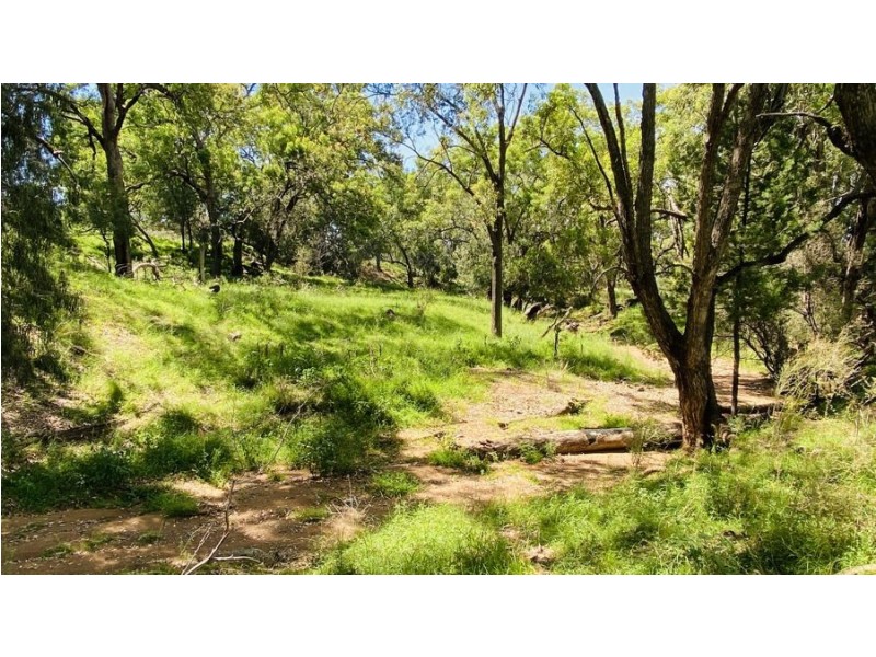 1211 Babbinboon Lane, Somerton NSW 2340