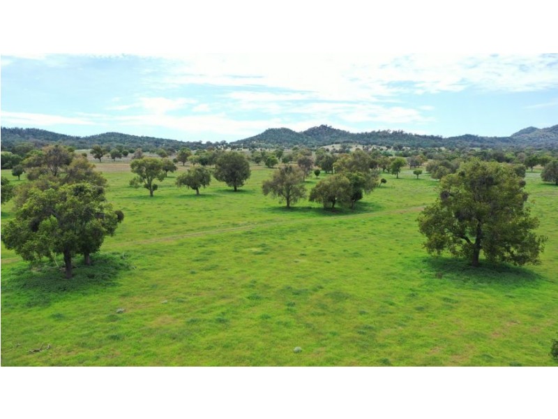 1211 Babbinboon Lane, Somerton NSW 2340