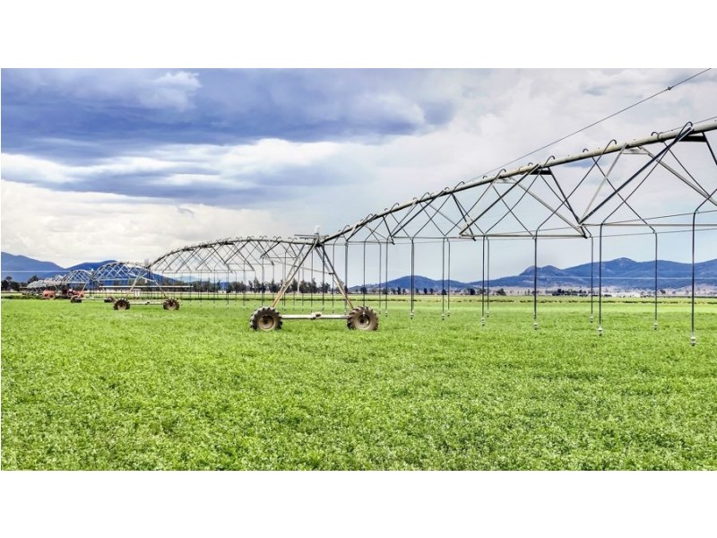 “Bindaree” 43 Orange Grove Rd, Gunnedah NSW 2380