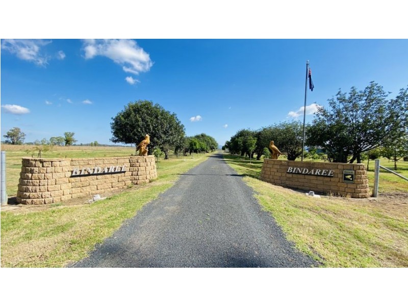 “Bindaree” 43 Orange Grove Rd, Gunnedah NSW 2380