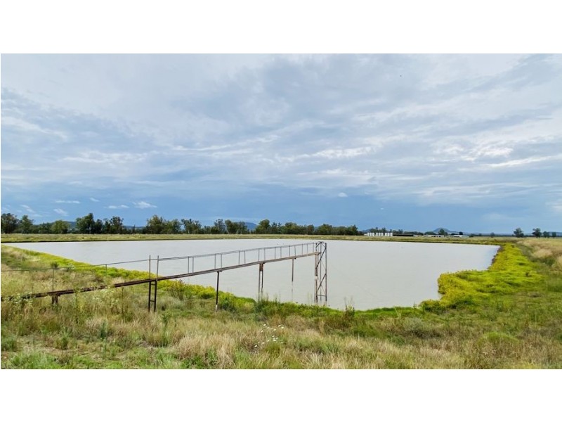 “Bindaree” 43 Orange Grove Rd, Gunnedah NSW 2380