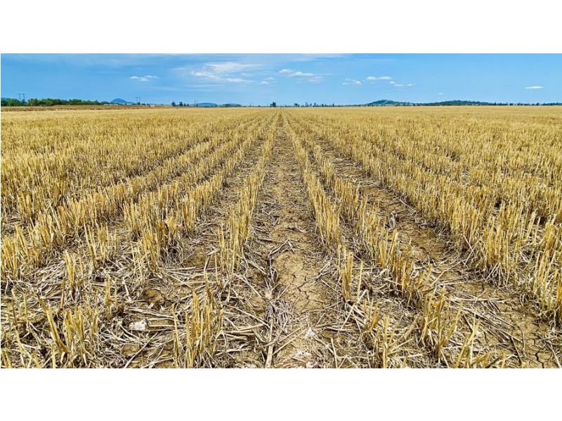 “Bindaree” 43 Orange Grove Rd, Gunnedah NSW 2380