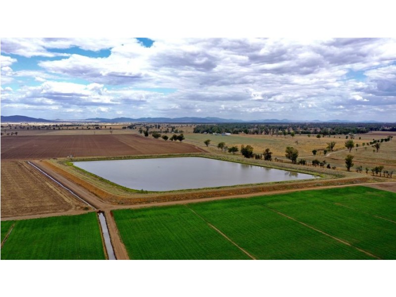 “Bindaree” 43 Orange Grove Rd, Gunnedah NSW 2380