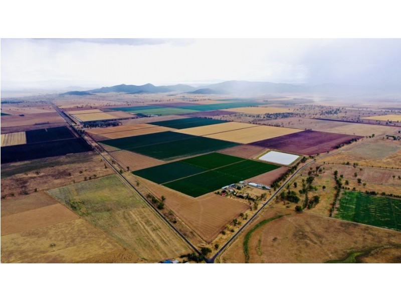 “Bindaree” 43 Orange Grove Rd, Gunnedah NSW 2380