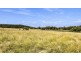 1956 Orange Grove Rd, Gunnedah NSW 2380