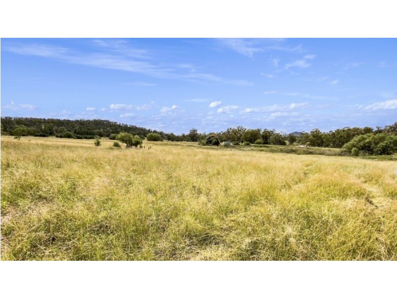 1956 Orange Grove Rd, Gunnedah NSW 2380