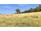 1956 Orange Grove Rd, Gunnedah NSW 2380