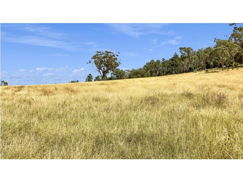1956 Orange Grove Rd, Gunnedah NSW 2380