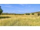 1956 Orange Grove Rd, Gunnedah NSW 2380