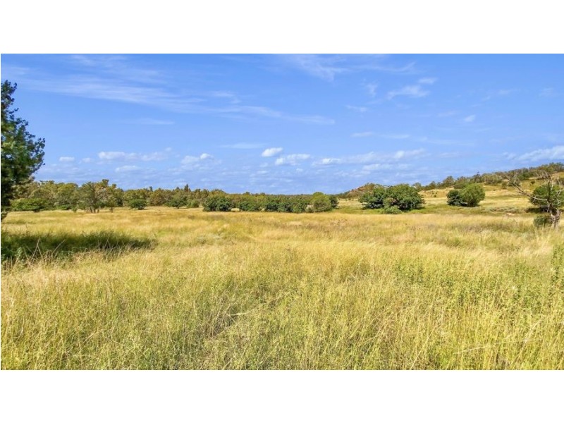 1956 Orange Grove Rd, Gunnedah NSW 2380