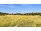 1956 Orange Grove Rd, Gunnedah NSW 2380