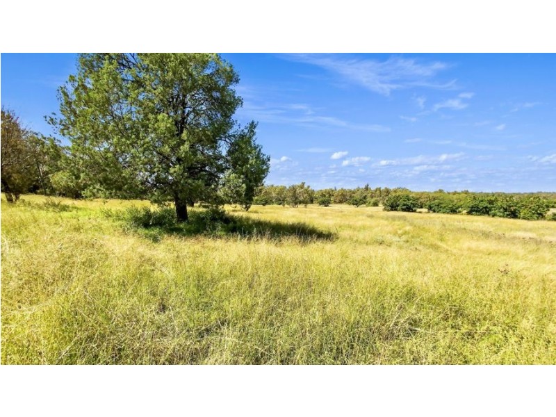 1956 Orange Grove Rd, Gunnedah NSW 2380