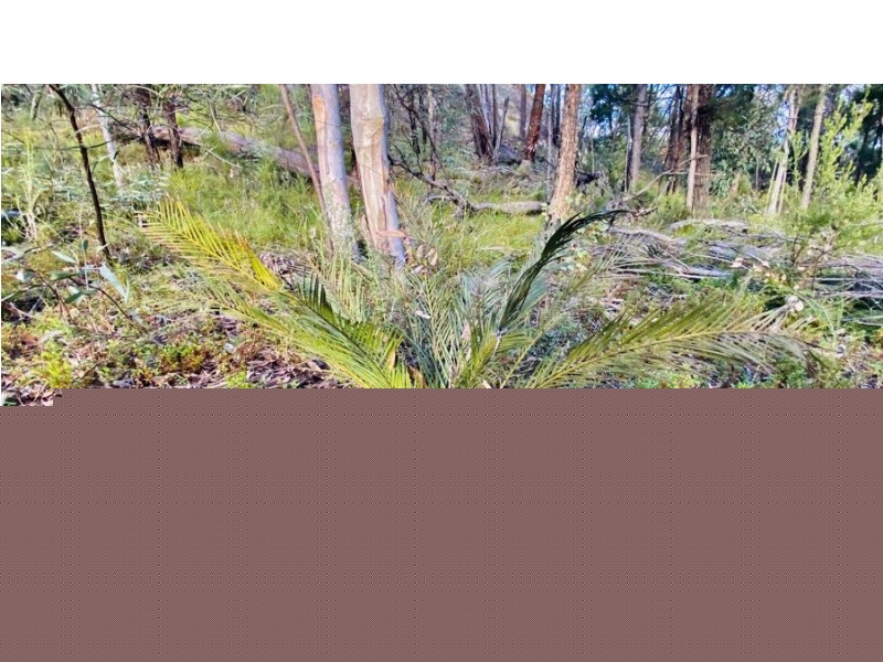 588 Nullawa road, Premer NSW 2381