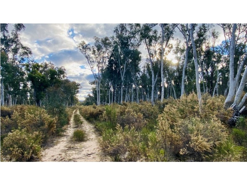 588 Nullawa road, Premer NSW 2381