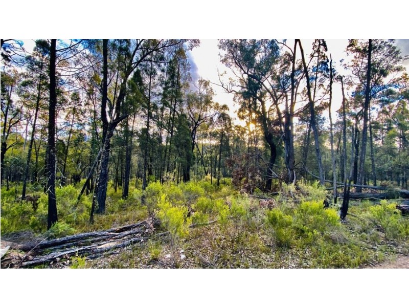 588 Nullawa road, Premer NSW 2381