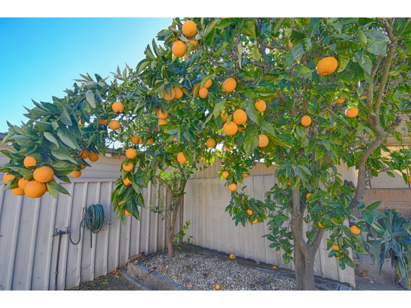 25 Antill Street, Picton NSW 2571